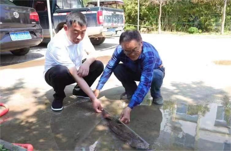 微信圖片_20230515142537 微信圖片_20230515142537